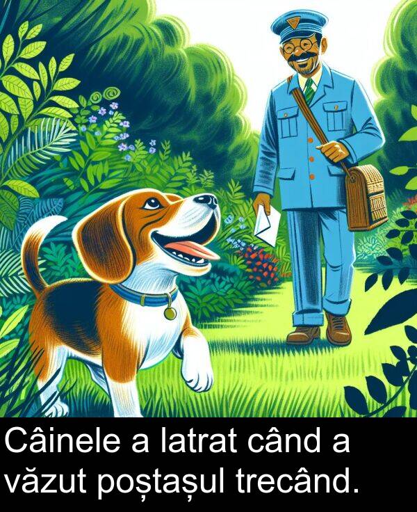 văzut: Câinele a latrat când a văzut poștașul trecând.
