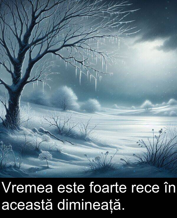 această: Vremea este foarte rece în această dimineață.