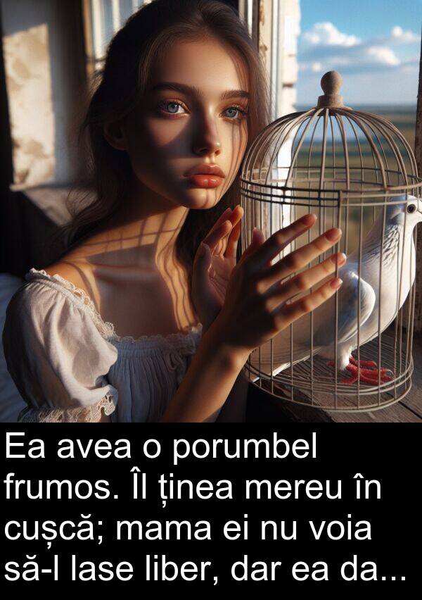 lase: Ea avea o porumbel frumos. Îl ținea mereu în cușcă; mama ei nu voia să-l lase liber, dar ea da...