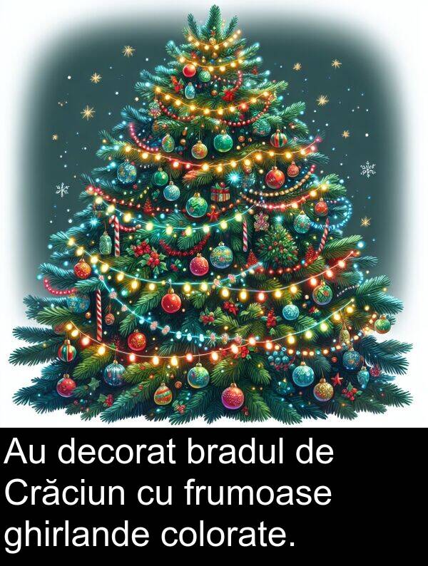 decorat: Au decorat bradul de Crăciun cu frumoase ghirlande colorate.