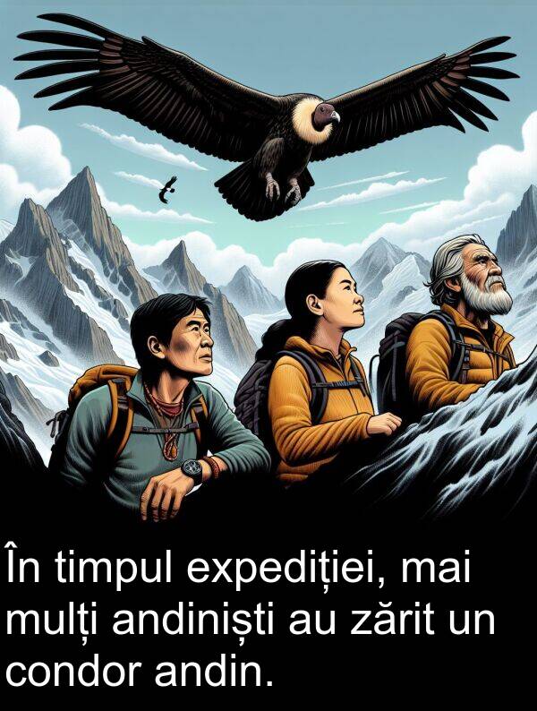 expediției: În timpul expediției, mai mulți andiniști au zărit un condor andin.