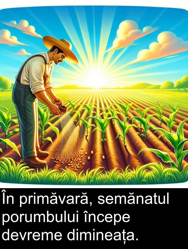 semănatul: În primăvară, semănatul porumbului începe devreme dimineața.