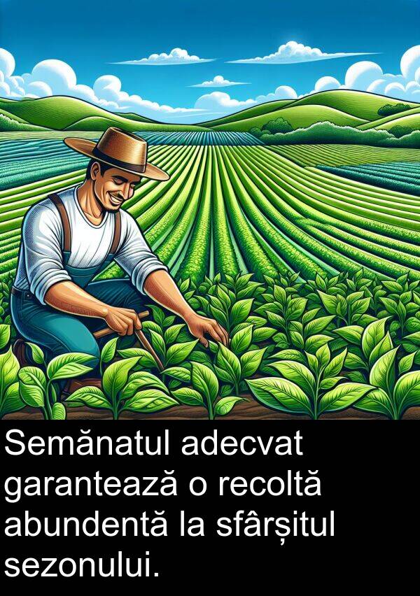 abundentă: Semănatul adecvat garantează o recoltă abundentă la sfârșitul sezonului.