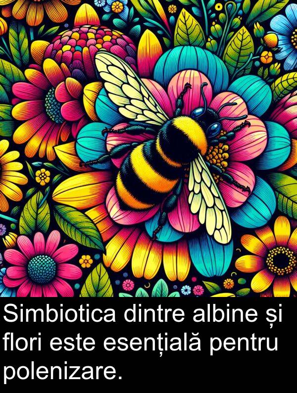 esențială: Simbiotica dintre albine și flori este esențială pentru polenizare.