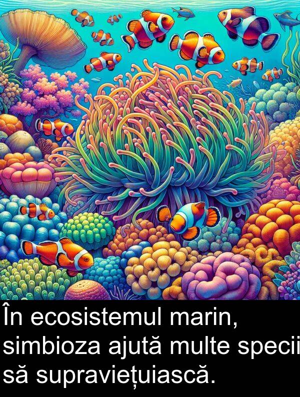 ecosistemul: În ecosistemul marin, simbioza ajută multe specii să supraviețuiască.