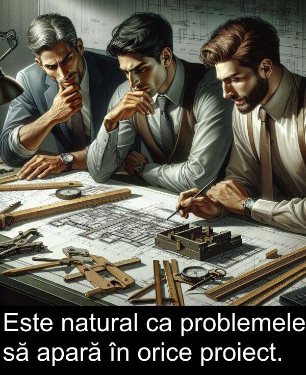 natural: Este natural ca problemele să apară în orice proiect.
