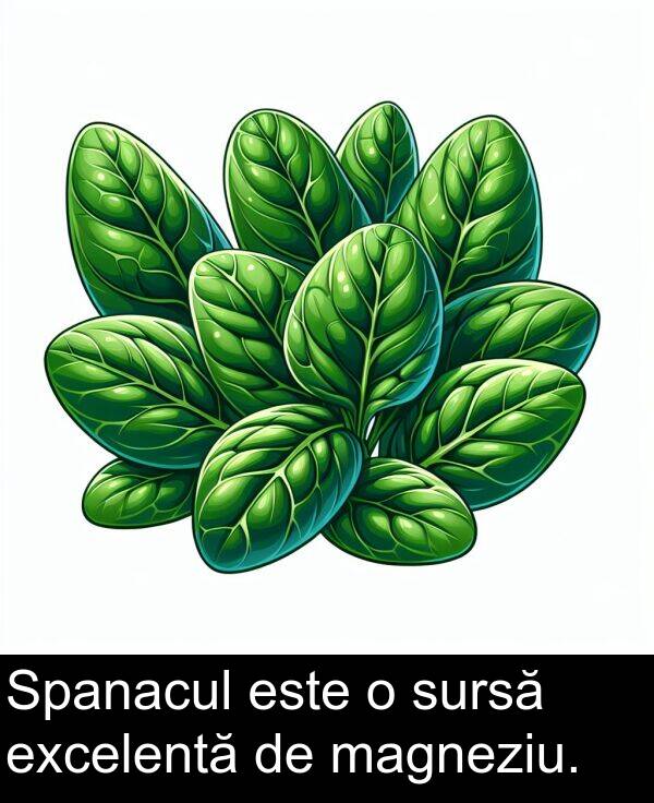 magneziu: Spanacul este o sursă excelentă de magneziu.