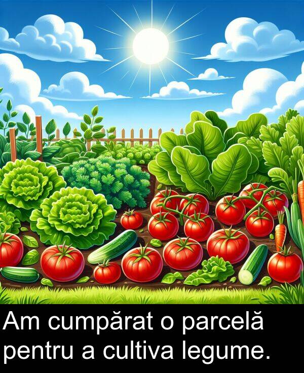 cumpărat: Am cumpărat o parcelă pentru a cultiva legume.