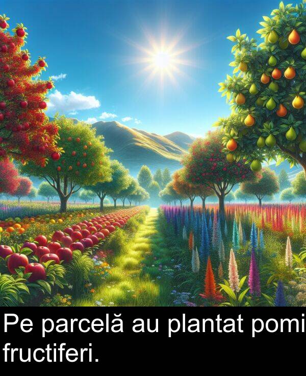 pomi: Pe parcelă au plantat pomi fructiferi.
