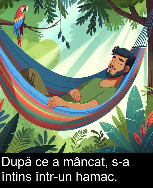 mâncat: După ce a mâncat, s-a întins într-un hamac.