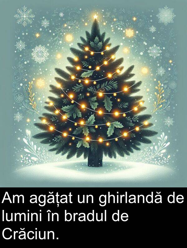 ghirlandă: Am agățat un ghirlandă de lumini în bradul de Crăciun.