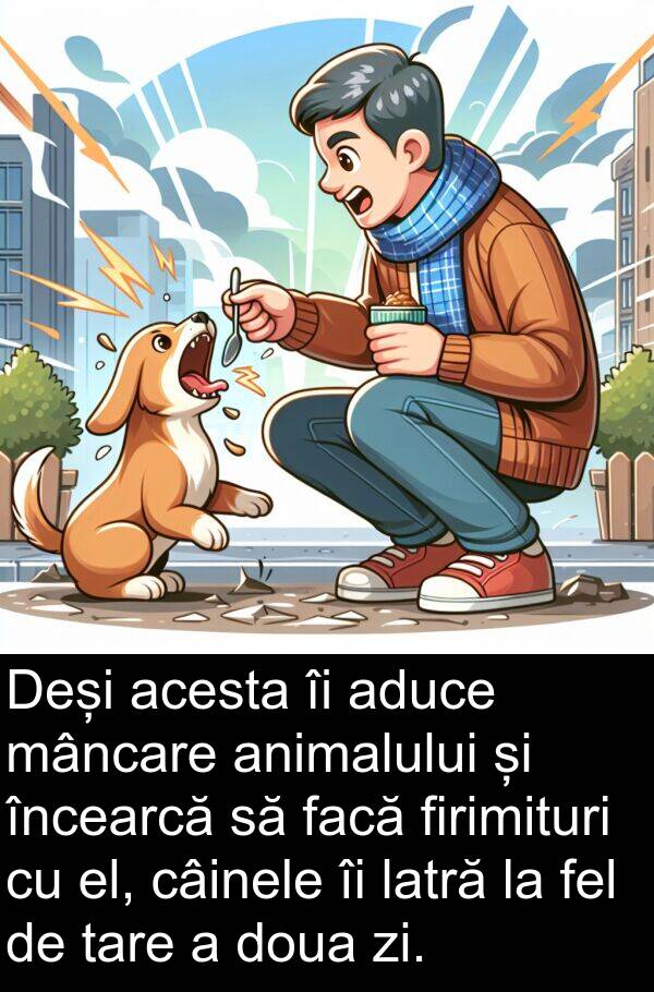 el: Deși acesta îi aduce mâncare animalului și încearcă să facă firimituri cu el, câinele îi latră la fel de tare a doua zi.