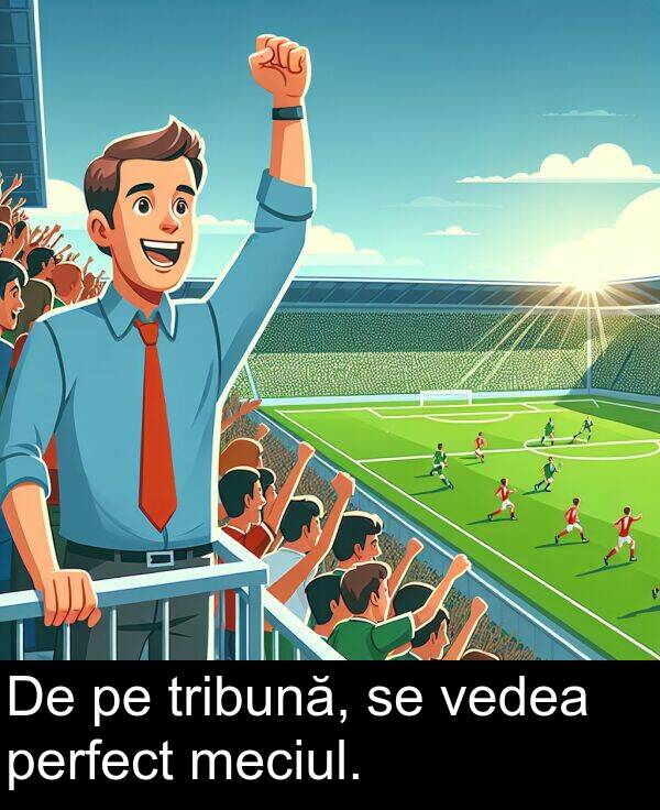vedea: De pe tribună, se vedea perfect meciul.