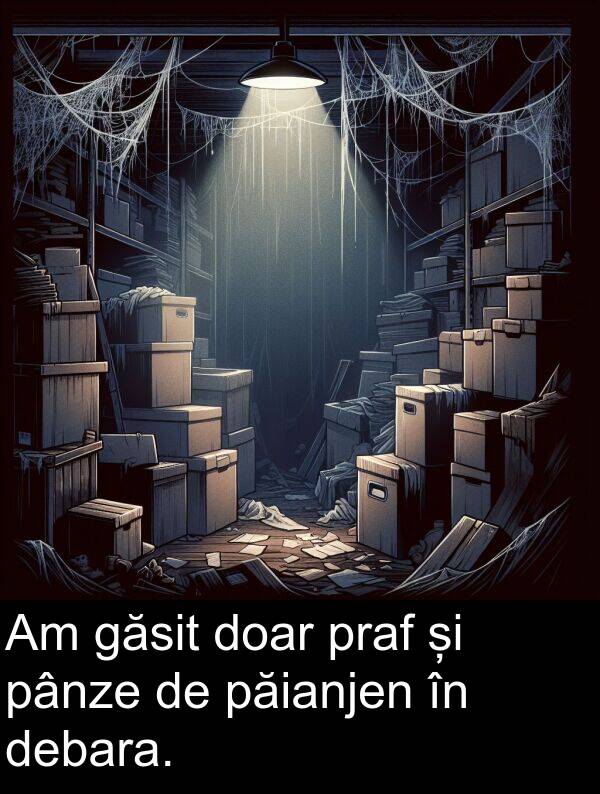 pânze: Am găsit doar praf și pânze de păianjen în debara.
