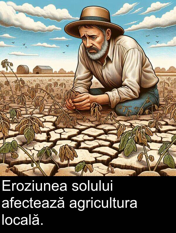 locală: Eroziunea solului afectează agricultura locală.