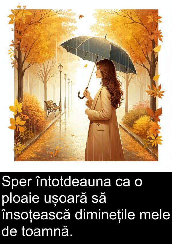 ușoară: Sper întotdeauna ca o ploaie ușoară să însoțească diminețile mele de toamnă.