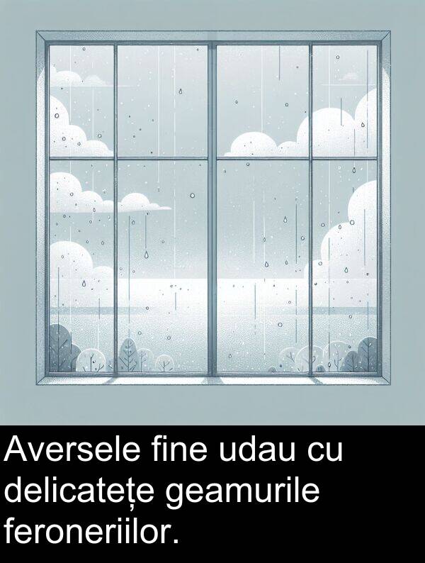 geamurile: Aversele fine udau cu delicatețe geamurile feroneriilor.