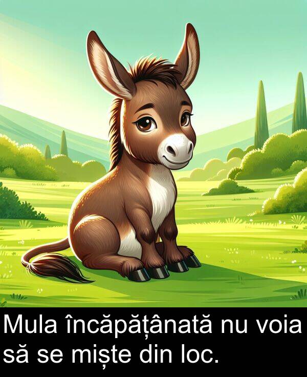 voia: Mula încăpățânată nu voia să se miște din loc.