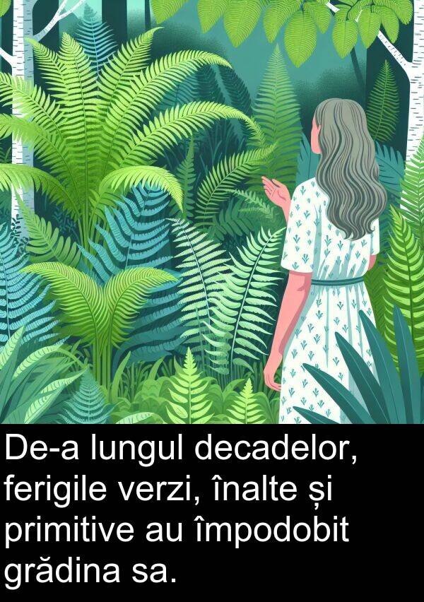 împodobit: De-a lungul decadelor, ferigile verzi, înalte și primitive au împodobit grădina sa.