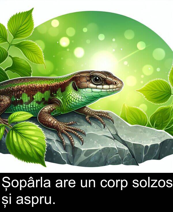 corp: Șopârla are un corp solzos și aspru.