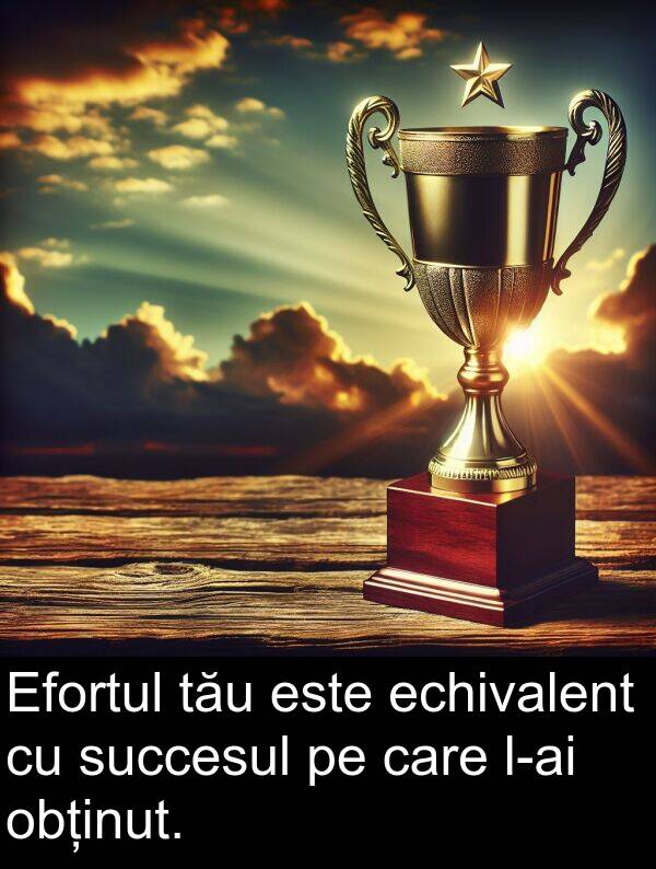 obținut: Efortul tău este echivalent cu succesul pe care l-ai obținut.