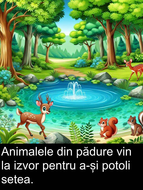 pădure: Animalele din pădure vin la izvor pentru a-și potoli setea.