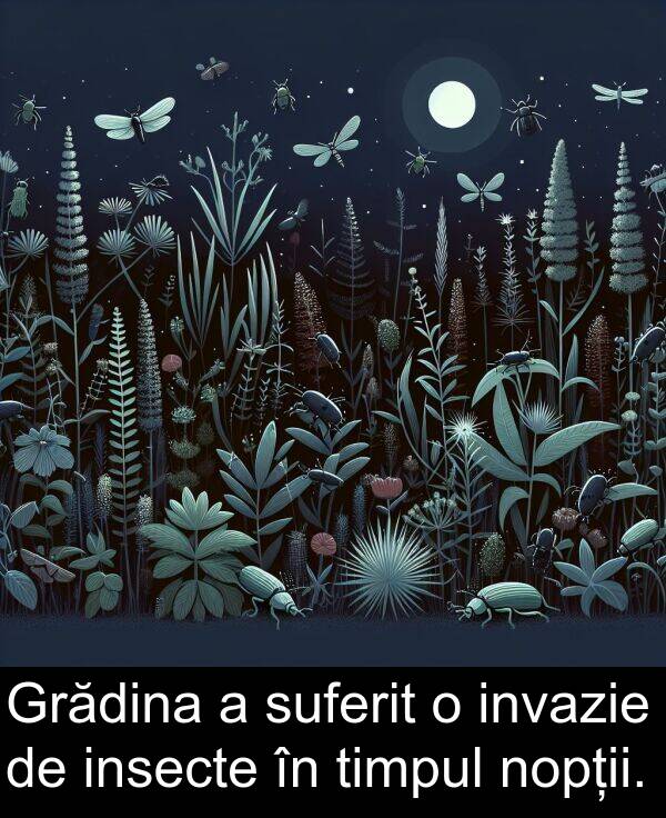 invazie: Grădina a suferit o invazie de insecte în timpul nopții.