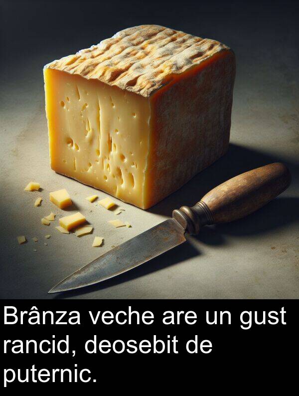 veche: Brânza veche are un gust rancid, deosebit de puternic.