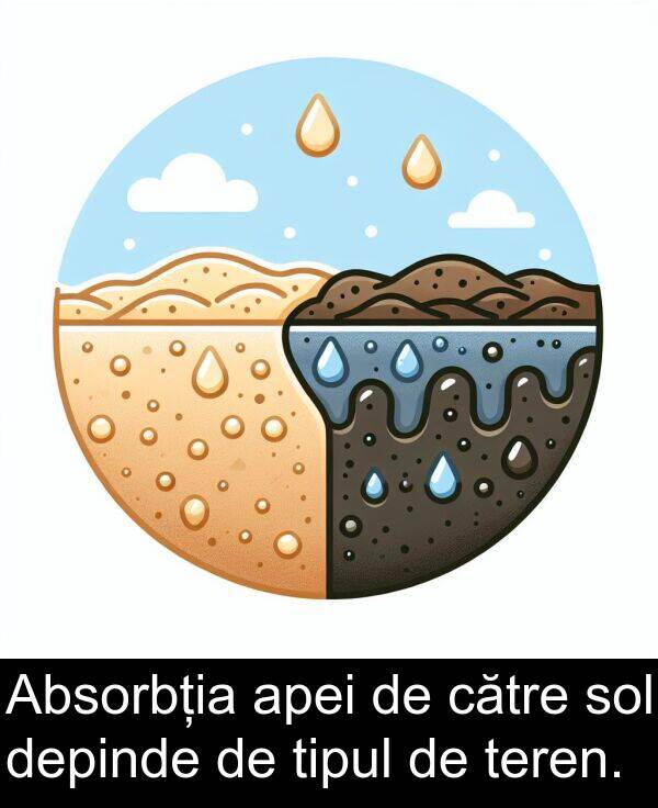teren: Absorbția apei de către sol depinde de tipul de teren.