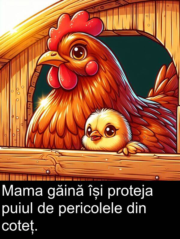 găină: Mama găină își proteja puiul de pericolele din coteț.