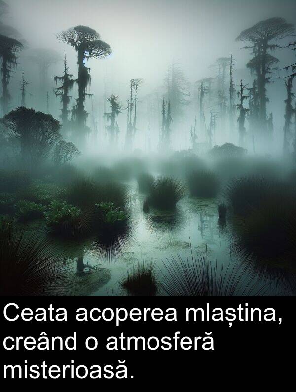 misterioasă: Ceata acoperea mlaștina, creând o atmosferă misterioasă.