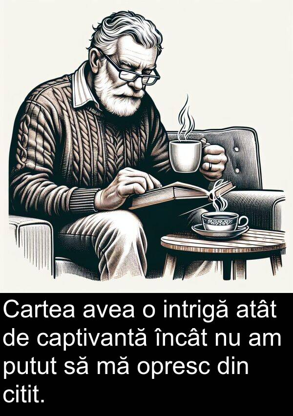 putut: Cartea avea o intrigă atât de captivantă încât nu am putut să mă opresc din citit.