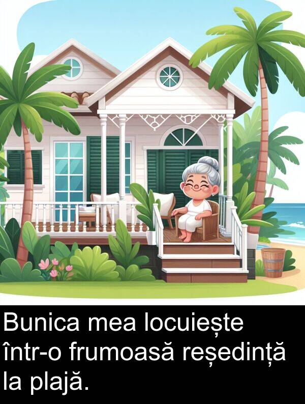 locuiește: Bunica mea locuiește într-o frumoasă reședință la plajă.