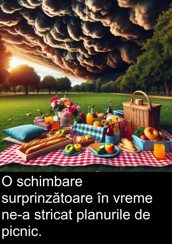 schimbare: O schimbare surprinzătoare în vreme ne-a stricat planurile de picnic.