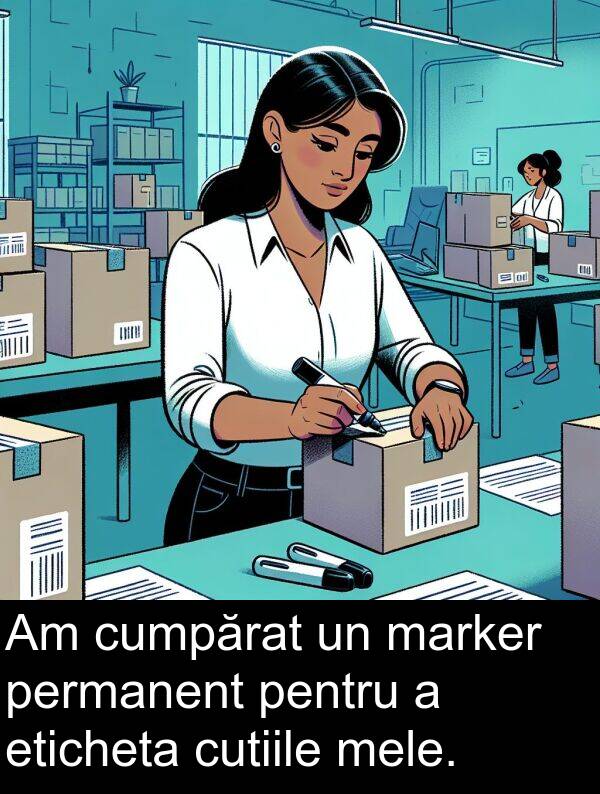 permanent: Am cumpărat un marker permanent pentru a eticheta cutiile mele.