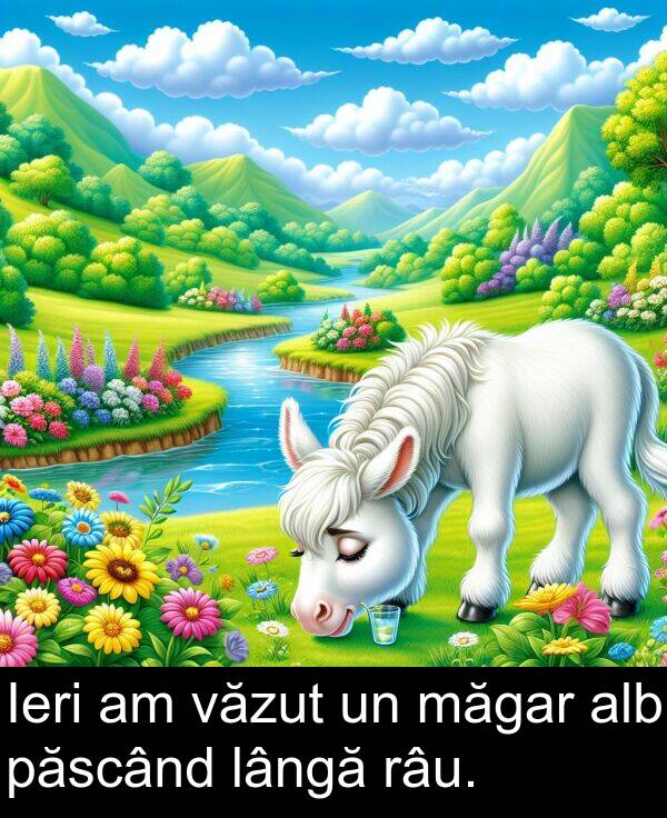 văzut: Ieri am văzut un măgar alb păscând lângă râu.
