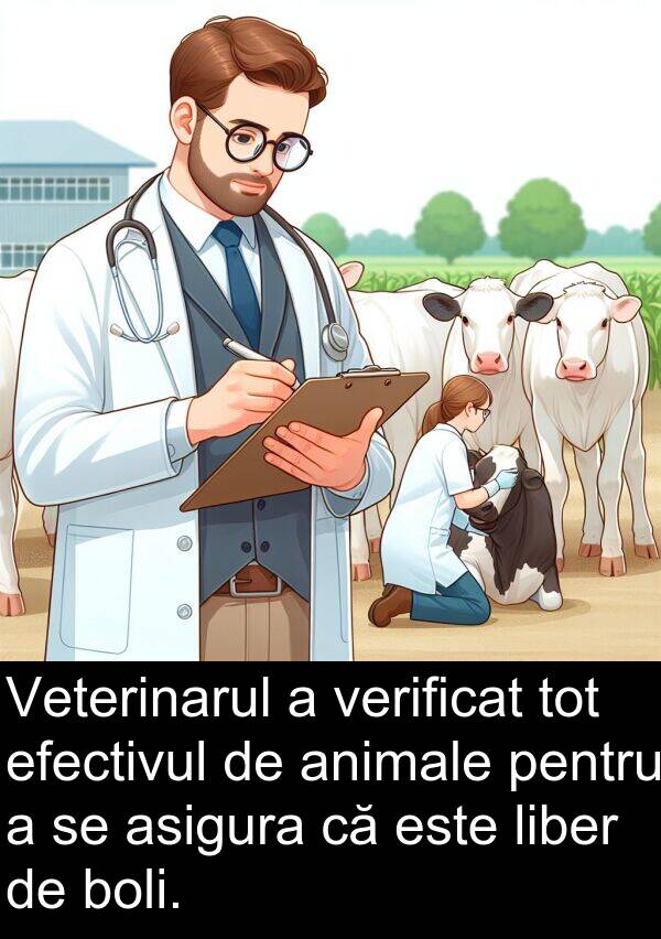 verificat: Veterinarul a verificat tot efectivul de animale pentru a se asigura că este liber de boli.