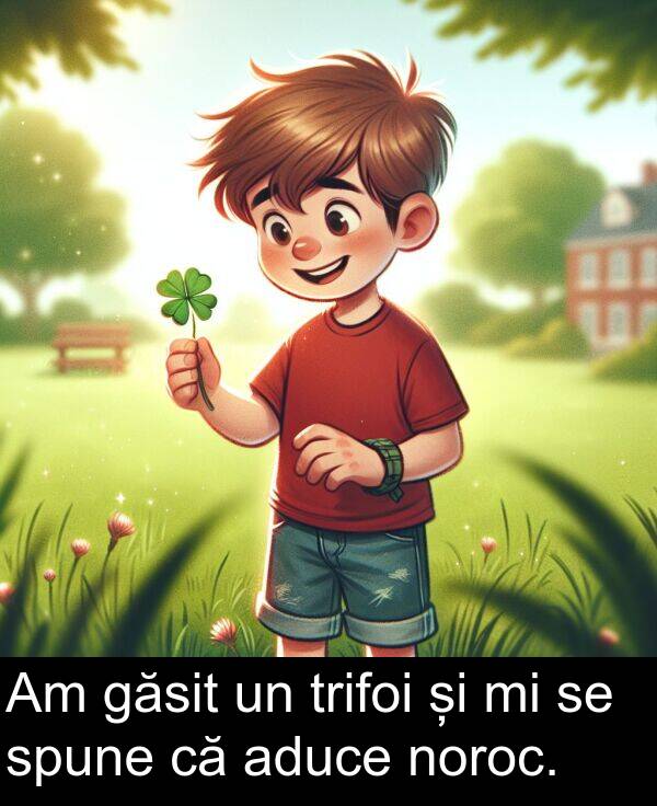 găsit: Am găsit un trifoi și mi se spune că aduce noroc.