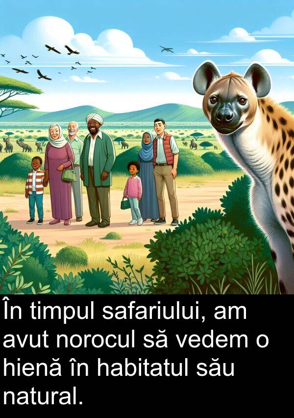 hienă: În timpul safariului, am avut norocul să vedem o hienă în habitatul său natural.