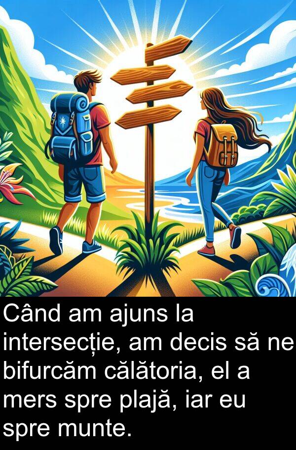 decis: Când am ajuns la intersecție, am decis să ne bifurcăm călătoria, el a mers spre plajă, iar eu spre munte.