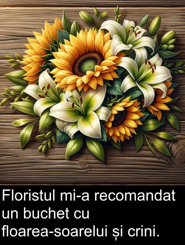 crini: Floristul mi-a recomandat un buchet cu floarea-soarelui și crini.