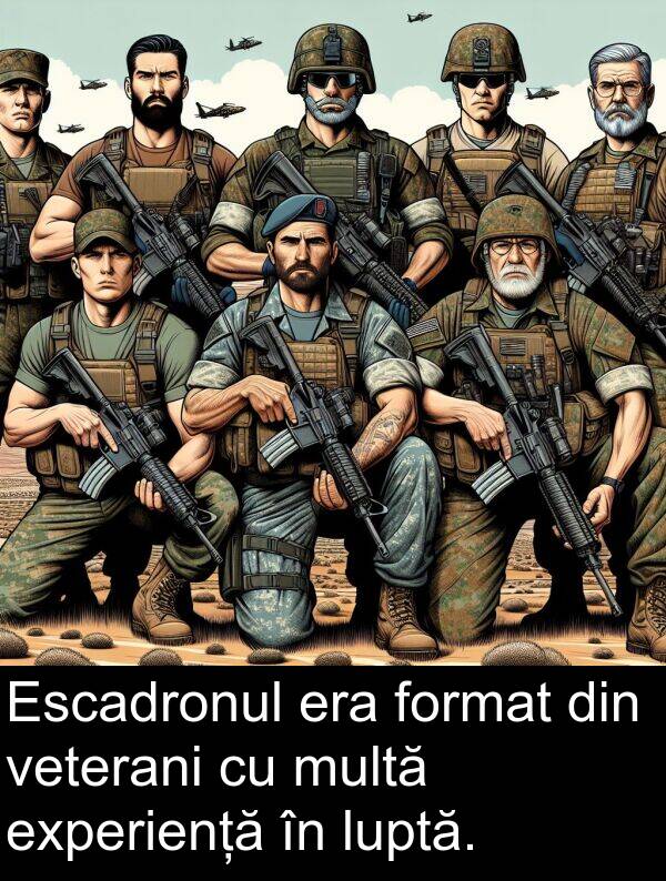 format: Escadronul era format din veterani cu multă experiență în luptă.