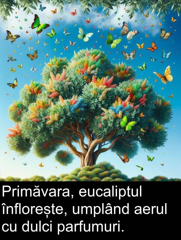 umplând: Primăvara, eucaliptul înflorește, umplând aerul cu dulci parfumuri.