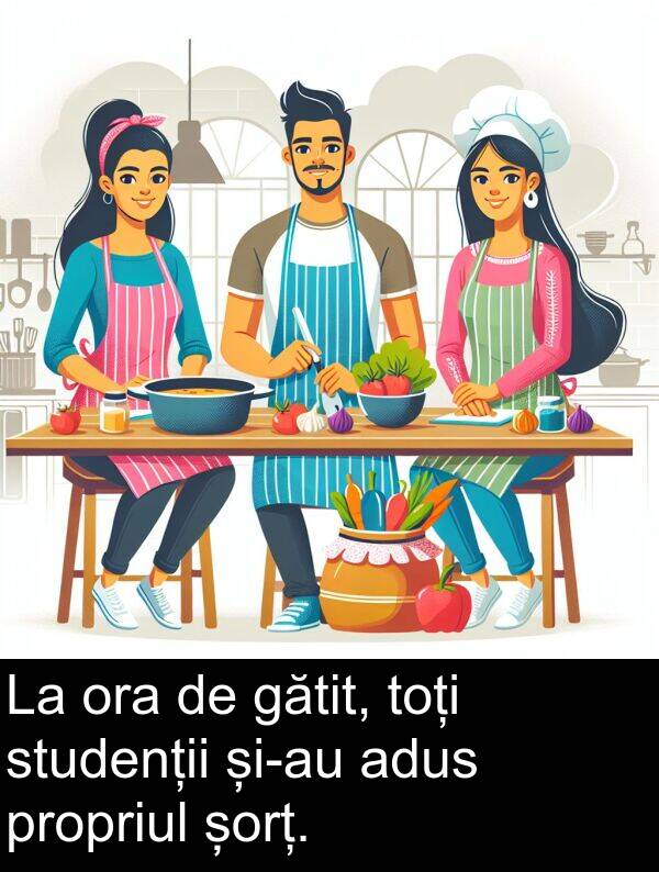 șorț: La ora de gătit, toți studenții și-au adus propriul șorț.