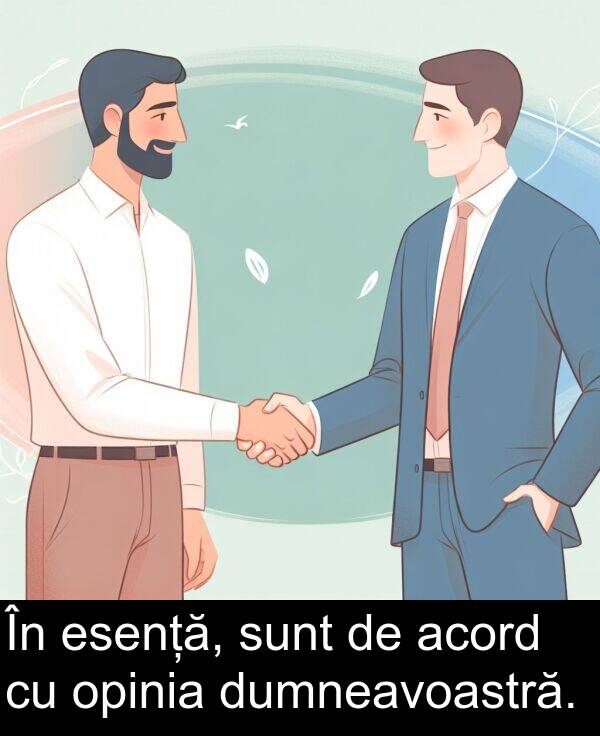 acord: În esență, sunt de acord cu opinia dumneavoastră.