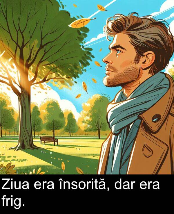 frig: Ziua era însorită, dar era frig.