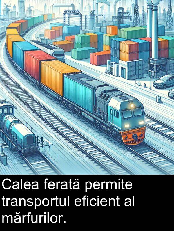 eficient: Calea ferată permite transportul eficient al mărfurilor.