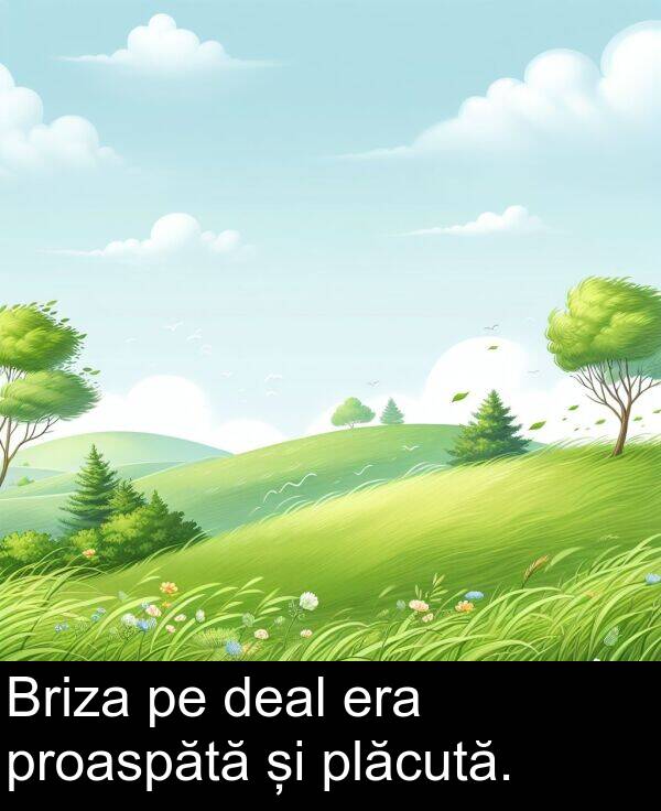 deal: Briza pe deal era proaspătă și plăcută.
