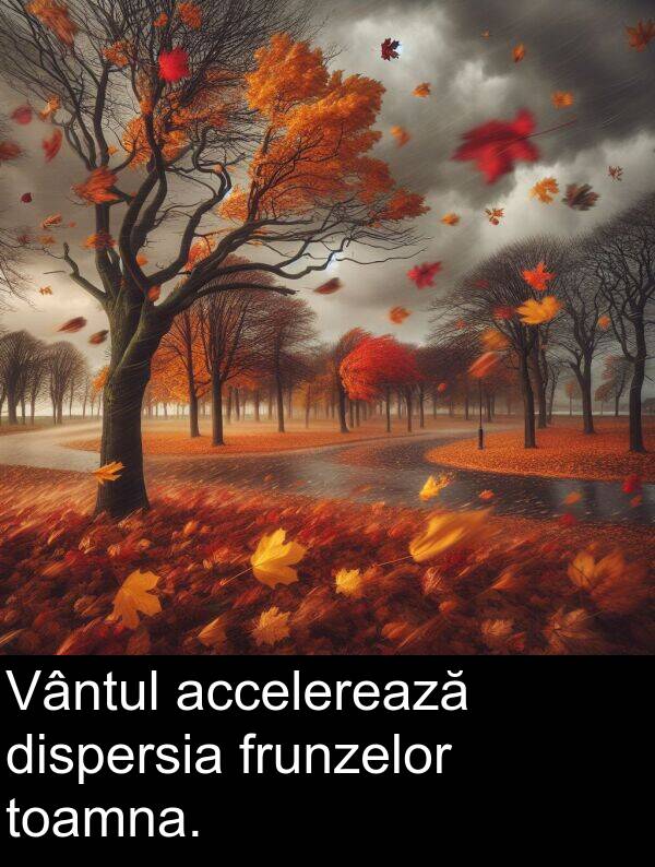 accelerează: Vântul accelerează dispersia frunzelor toamna.