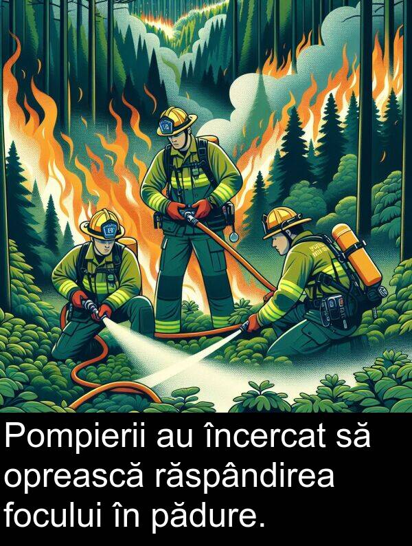pădure: Pompierii au încercat să oprească răspândirea focului în pădure.